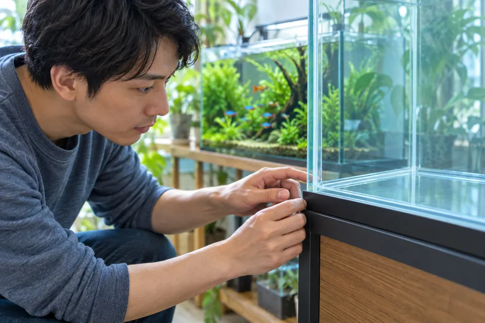 フレーム付き水槽の角と底面を確認しながら設置状態を点検する様子